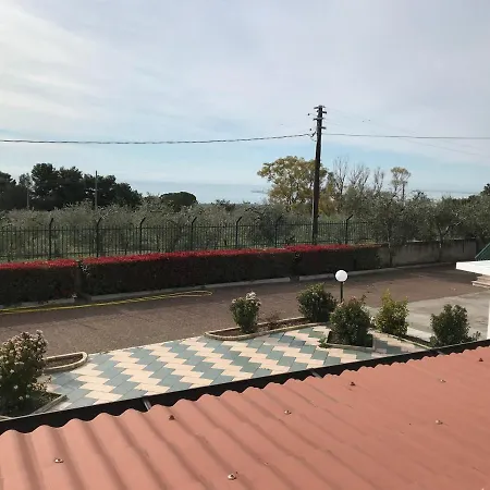 Olea *