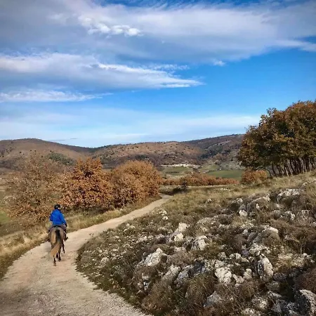 Διαμέρισμα Olea