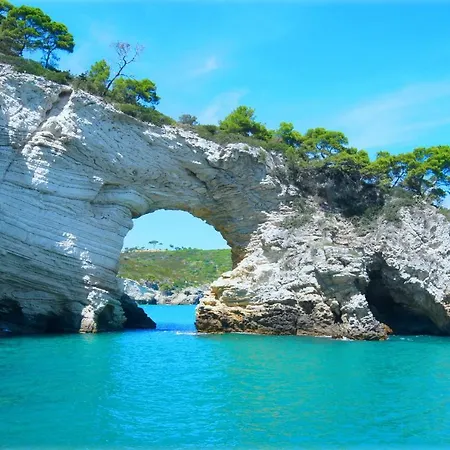 Olea Διαμέρισμα *