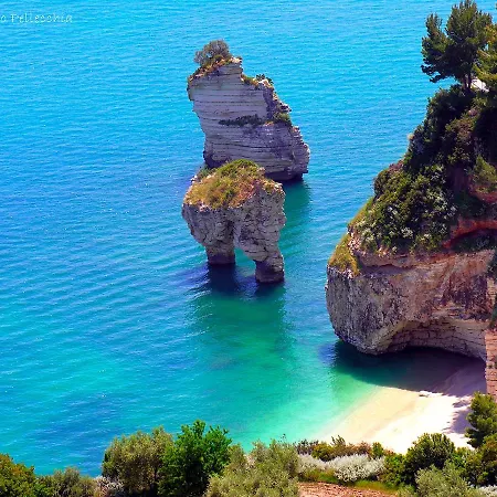 Διαμέρισμα Olea *