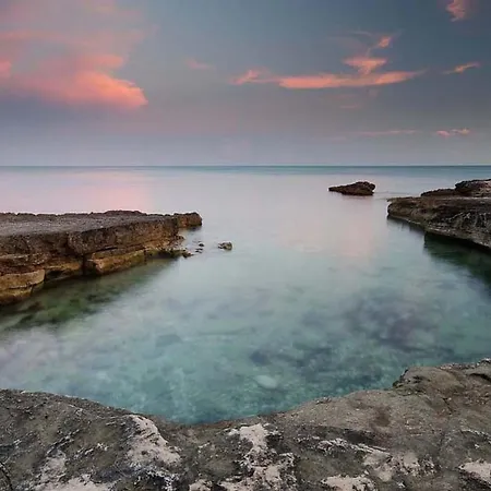 Διαμέρισμα Olea